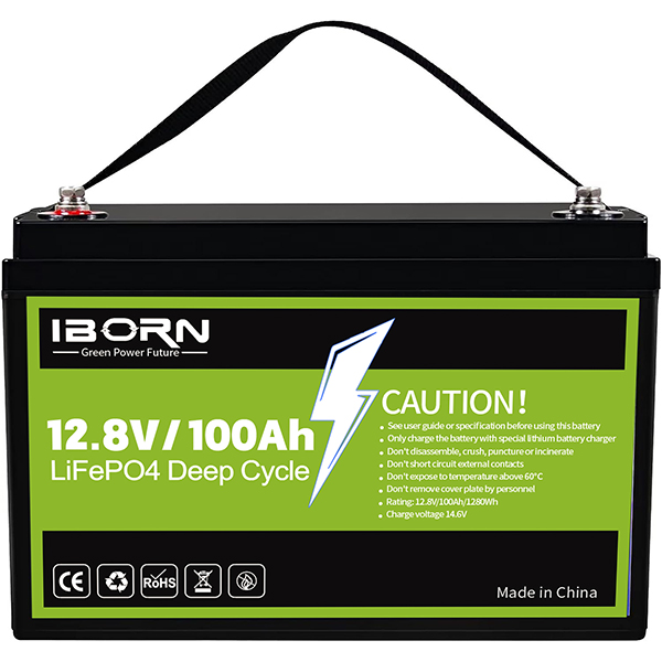 12V 100AH 1