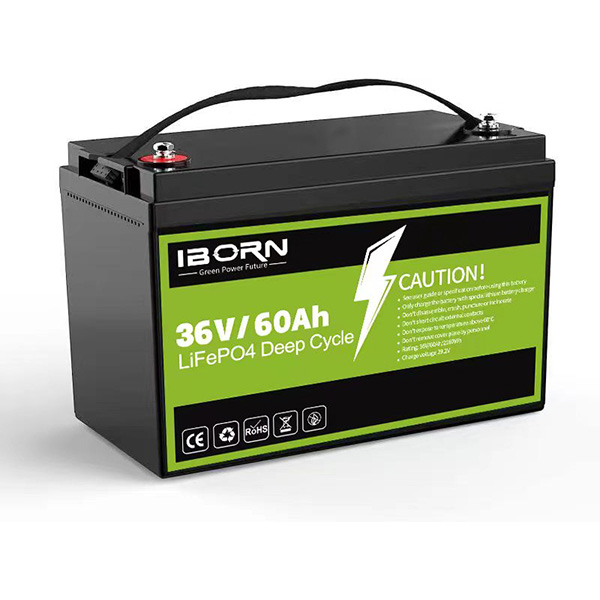36V60AH